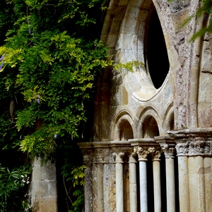 Rosace et colonnes de monastère entourées de plantes - France  - collection de photos clin d'oeil, catégorie rues